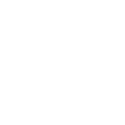 Airport icon