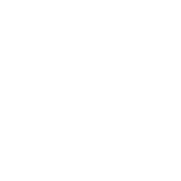 Car icon