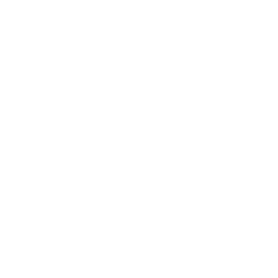 Packing icon