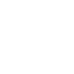 Paw icon