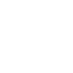 Shop icon